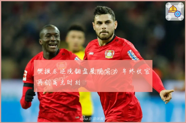 樊振东逆境翻盘展现实力 年终收官再创高光时刻