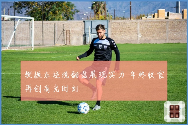 樊振东逆境翻盘展现实力 年终收官再创高光时刻