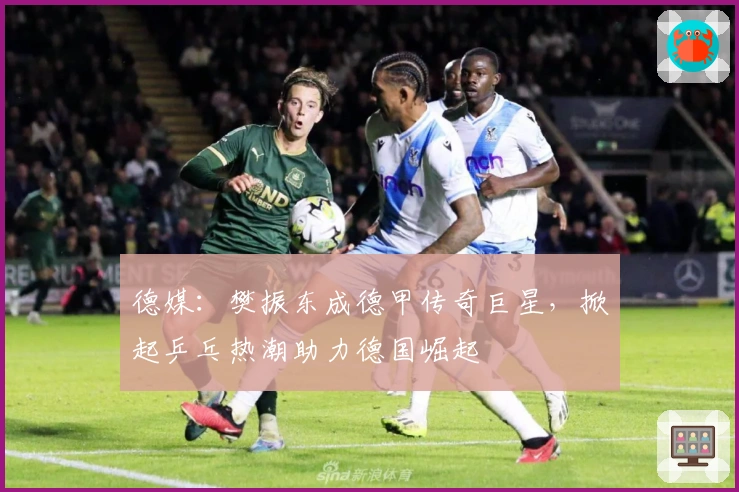 德媒：樊振东成德甲传奇巨星，掀起乒乓热潮助力德国崛起